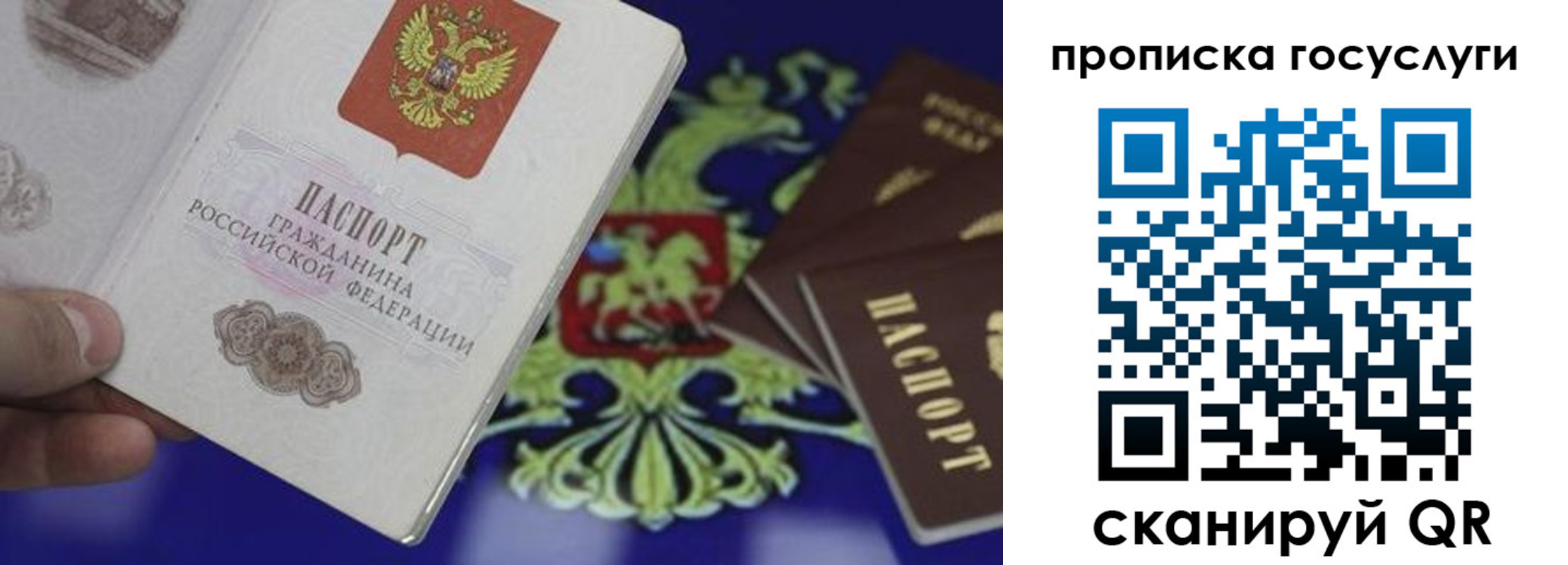 прописка для школы в Кингисеппе