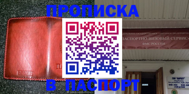 временная прописка в Кингисеппе